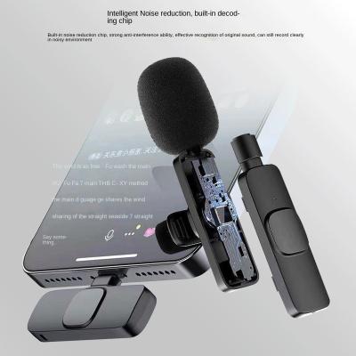 China New 2.4G Handheld Microphone Lapel Microphone Noise Reduction Radio Noise Reduction Collar Two Collar Microphone Wireless Live Broadcast 2.4G for sale