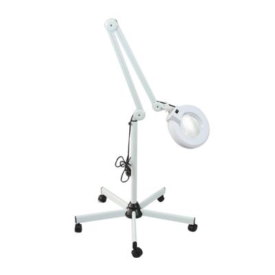 China 5X Adjustable Tattoo Cosmetic Tube Makeup Skin Care Beauty Cold Light Stand Magnifier Vertical Shadowless Magnifier Lamp for sale