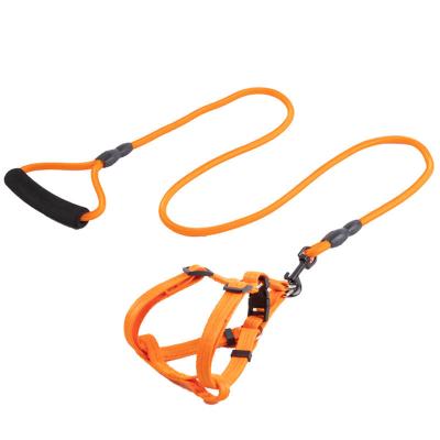 China Personalized Nylon Pet Harness Leash Set Durable With No-Slip Handle Comfortable Wearing For Outdoor Dog Walking for sale