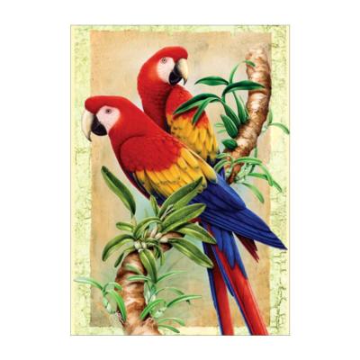 China Realistic DIY5D Diamond Painting Animals Eagle OwlShiny crafts diamond paintingSet home decoration paintingLittle bird for sale