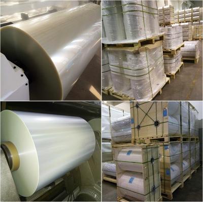 Cina Film PET metallizzato per imballaggi alimentari in vendita