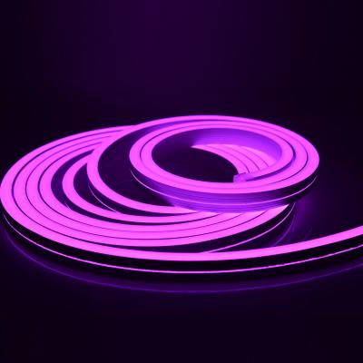 China Building Side Bend 10x18 Neon Lamp RGB Led Neon Flexible Strip for sale