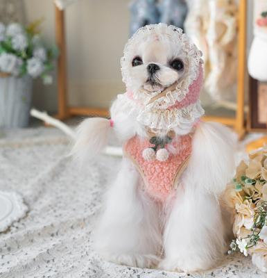 China Viable Independent Designer 3 Color Winter Wear Small Dog Sleeveless Pet Clothes With Hat Pet Accessories Pet Hat OEM,ODM for sale