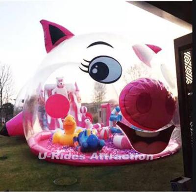 China 0.55-0.9mm (32oz) PVC Clear Pool Ball Ocean Playground Amusement Park Whale Pink Inflatable Plato Factory from Plato Factory with LED light for outdoor or outdoor use interior for sale