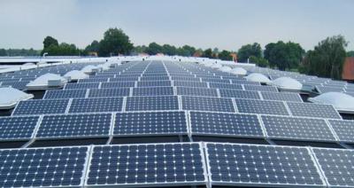 China Panel solar fotovoltaico de vidrio personalizado con alta transmisión de luz en venta