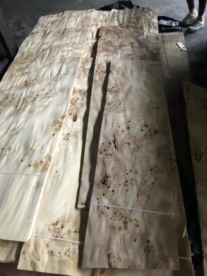 China Poplar Burl Fine Natural Wood Veneer Odorless Thickness 0.45mm for sale