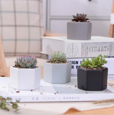 China Ceramic Flower Pot Molds Flower Pot Holder Small Flower Pot for sale