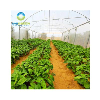 China Greenhouse Seedling Growing Single-span PEP Film Agriculture Arch Tunnel Small Size Greenhouse Good Quality for Vegetable and Flower for sale