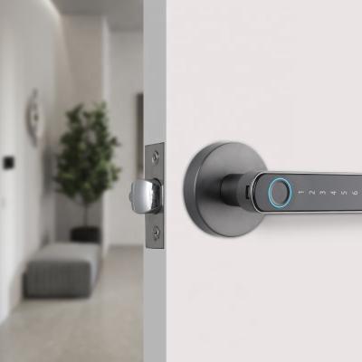 Cina Serratura multifunzionale Wifi Smart Door Lock / Tastiera Serratura elettronica con chiave in vendita