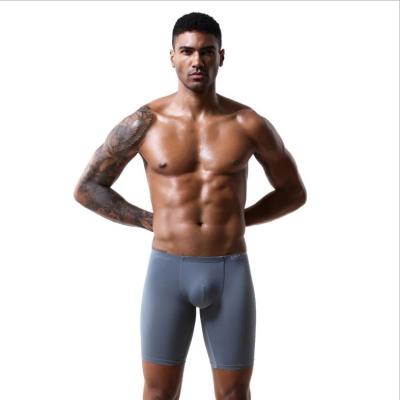 China Antibacterial Hot Sale Wholesale Underwear High Elastic Nylon Spandex Logo Seamless Boxers Custom Briefs For Man for sale