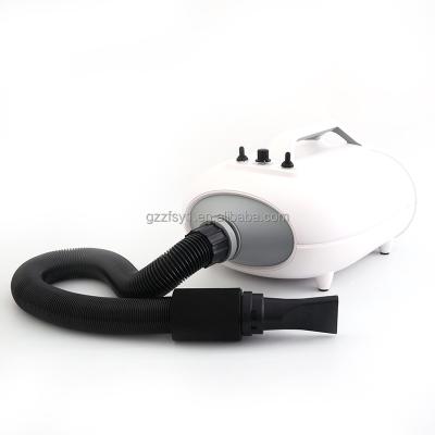 China Dry Your Dog Mini Cat Dog Grooming Pet Hair Dryer Smart Heating Speed Adjustable Fan Newest Dog China Pet Supplies for sale