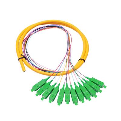 Cina Treccia a fibra ottica di distribuzione di singolo modo dello Sc APC dei 12 centri per le reti di telecomunicazione in vendita