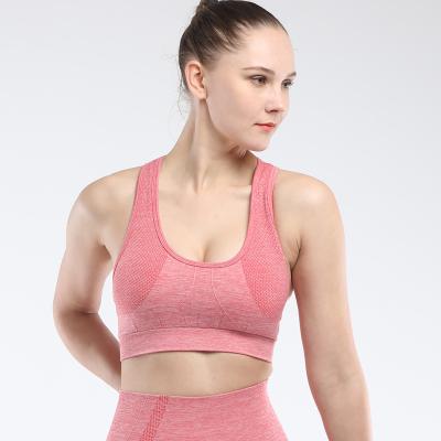 China Women's Yoga Gym Underwear Seamless Shockproof Manufacturer Sport Fitness Breathable Quick Dry Breathable Bra for sale