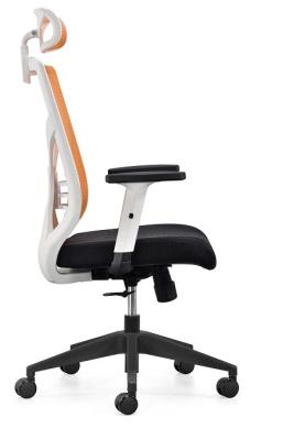 China ergonomic chair executive chair office mesh chair with ajustable lumbar support flexibale armrest and injection foam for sale