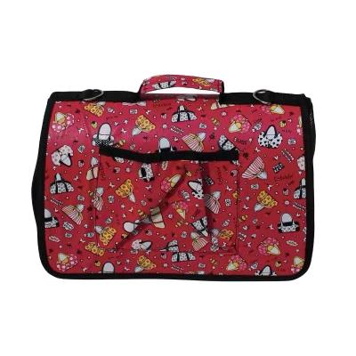 China Large Cat Backpack Foldable Multi Function Breathable Portable Pet Space Capsule Cage Pet Carrier Bag Car Printing Accessories Travel for sale