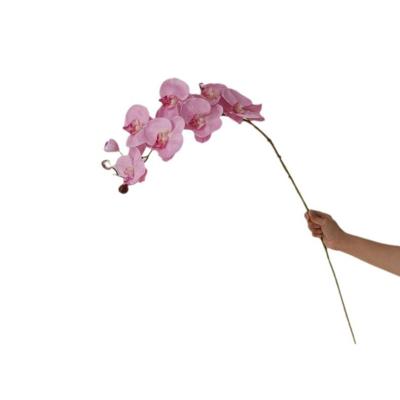 China Latex Natural real Touch Latex Moth Orchid Artificial Flower Orchid orchid for decorative flowers for sale