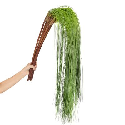 China Environmental Hot selling high quality Hanging dry grass for home decoration for sale