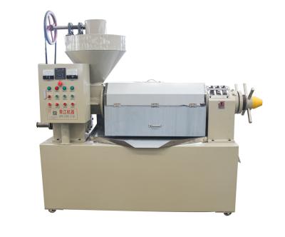 China Large Capacity Palm Kernals Oil Processing Machines Mustard Seeds Oil Extraction for sale