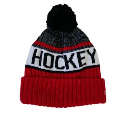 China COMMON Teenagers Pom Pom Beanies Custom New Arrival Fashion for sale