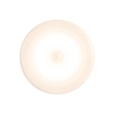 China American Style Motion Sensor LED Ceiling Light Flush Mount Around Light Fixture For Stairs Closet Rooms Porches Indoor/Outdoor Hallways for sale