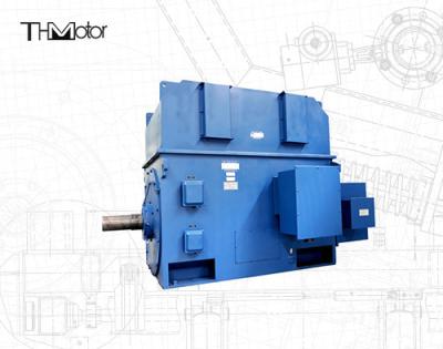 China 3000V 6000V 1500rpm Flameproof Electric Motor Asynchronous P44 IP54 IP55 for sale