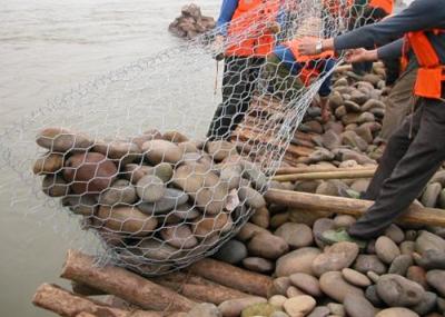 China Jaula galvanizada de la malla de Gabion del saco/forma hexagonal sumergida caliente del agujero de los bolsos en venta