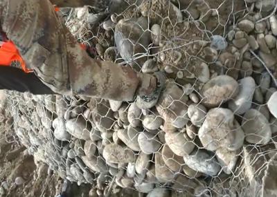 China Instalación fácil cilíndrica de acero galvanizada de la jaula Nova-051 de la malla de Gabion en venta