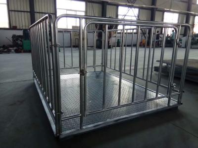 China Carbon Steel 1t 2t 3t Livestock scale, cattle Weighing Scales For horse Pig Cow Sheep with hot galvanized fence for sale