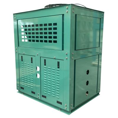 China Energy-Saving Air-cooled Condensing Unit for Commercial Refrigeration HVAC R Cooling Units Indoor Machine Noise 36-49dB for sale