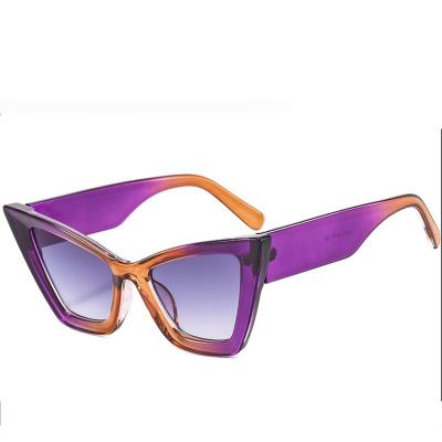 China Fashion Sunglasses 2023 Retro Triangle Large Frame Cat Eye Ladies Cat Eye New Fashion Style Popular Women Street Lady Sunglasses for sale