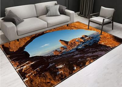 China Printed Carpet polyester Area Rugs Indoor Floor Mat for Living Room120x180cm for sale
