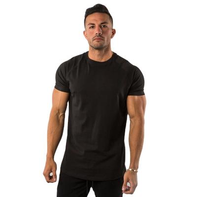 China 95%cotton 5% QUICK DRY elastane custom logo fitness private gym wear sports apparel men's plain blank t-shirt for sale