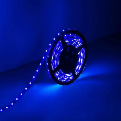 China Blue Flexible LED Strip Lights with 300 Units 3528 LEDs for sale