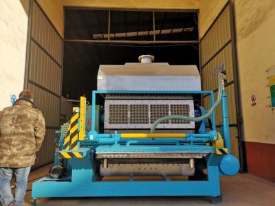 China Tipo giratório ovo de papel Tray Machine Controlled By Computers da capacidade grande à venda