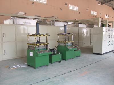 China Reciprocando o tipo 30 ovo Tray Production Line Fully Automatic da caixa à venda