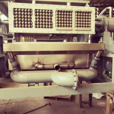 China Recycled paper pulp automatic egg tray making machine with egg tray dryer for sale