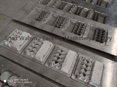 China 3000pcs/hr forram a máquina da fatura de caixa do ovo equipamento da bandeja de papel com linha de secagem à venda