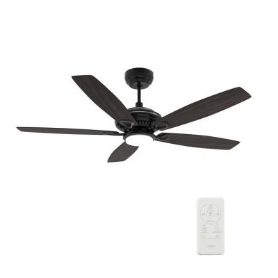 China 2022 Contemporary new APP control bldc ceiling fan newcomer lighting dc smart ceiling fan with light for sale