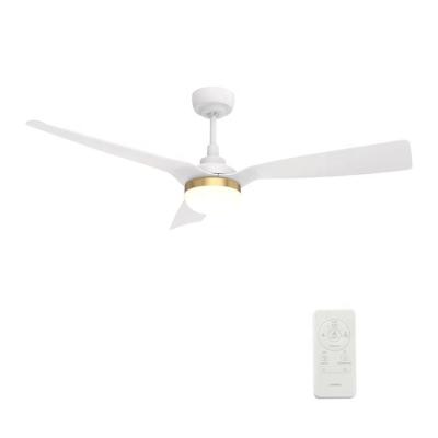 China Contemporary High Quality Easy To Install Ceiling Mount Exhaust Fan With Light 120V - 220V Ceiling Fan Light for sale