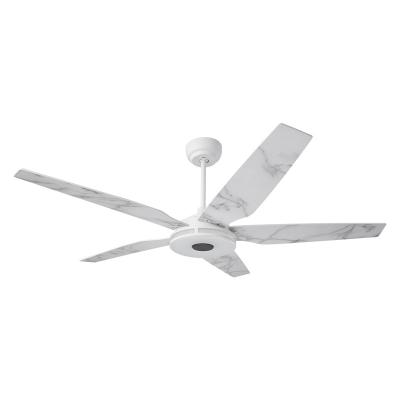 China Modern Luxury Decorative Brushless DC Inverter Remote Control CARRO Mountain Explorer 5 Blades Air Remote Control Ceiling Fan with Light for sale