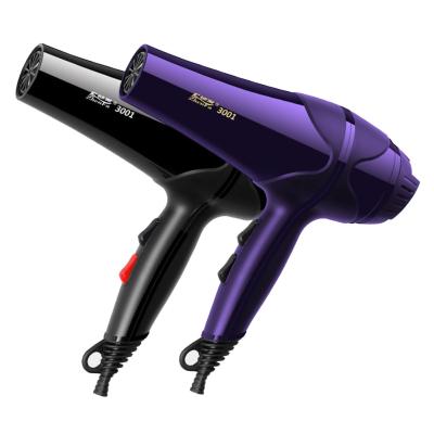 China Powerful Foldable Barber Salon Electrical Tool Home Appliance Hair Dryer Blow Dryer With Adjustment Dryers Speed For Hairdressing Styling for sale