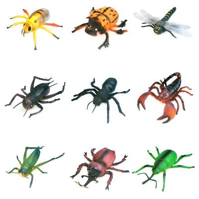 China Insect Knowledge Model Factory Animal Toys Insect Plastic Model for sale