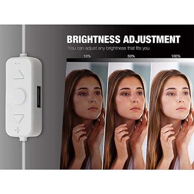 China Modern Hollywood Style LED Vanity Mirror Lights with 10 Dimmable Light 2 Color