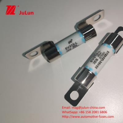China Short Circuit Protection Electric Vehicle Fuse 40A With Breaking Capacity 3KA Automotive for sale