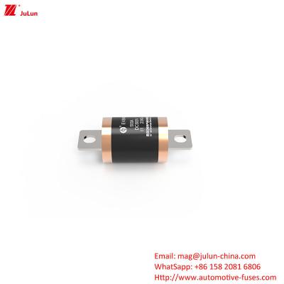 China 10KA 20KA 300A Electric Vehicle Fuses For Short Circuit Protection With 500VDC Maximum Rated Voltage for sale