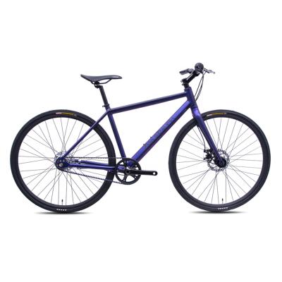 China Ansbern 700C Steel Belt Drive 7 Speed City Star Bike Fashionable Road Bicycle for sale