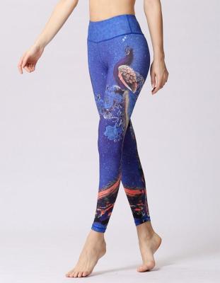 China Breathable Polyester Spandex / SAUANN Workout Clothes Top Quality Girls Wearing Yoga Pants Active Wear for sale
