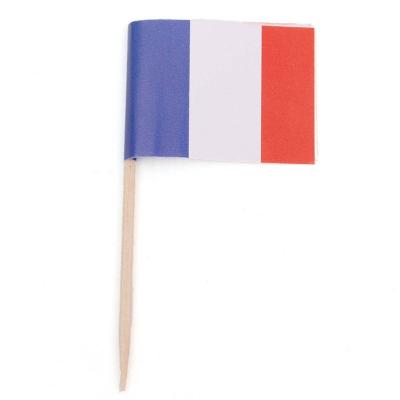 China Custom Toothpick 25*35 Mm Toothpick Flags Nonprofit Organizations Cake Toppers Colorful Food Paper Decoration for sale