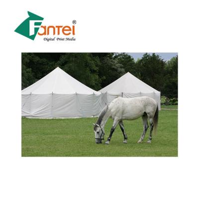 China 650gsm Polyester Tarp Fabric Flame Retardant waterproof Customized for sale
