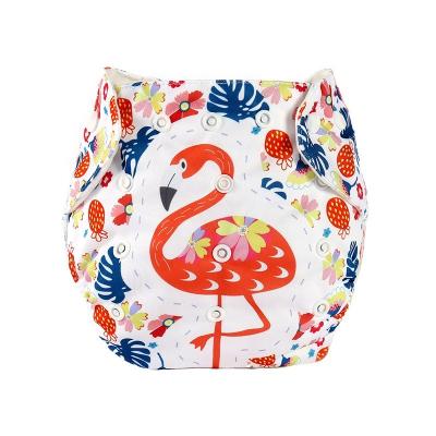China Everystep Baby Cloth Diaper Printed Pants Waterproof Adjustable Cloth Diapers With Gray Cloth Insert Reusable Diapers for sale